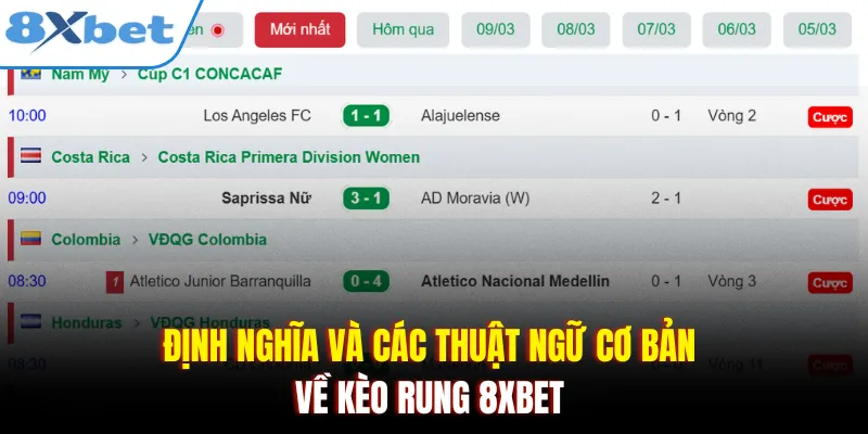 Định nghĩa và các thuật ngữ cơ bản về kèo rung 8xbet