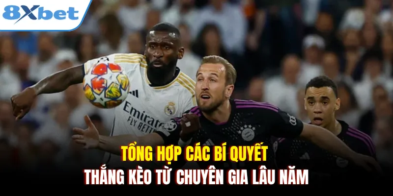 Tổng hợp các bí quyết thắng kèo từ chuyên gia lâu năm